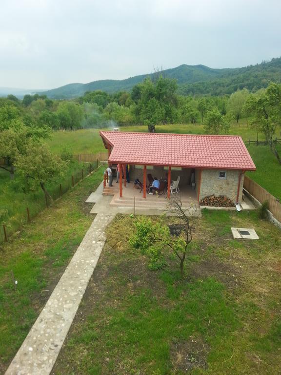 Pensiunea Agroturistica Ioana Bradulet Exterior photo
