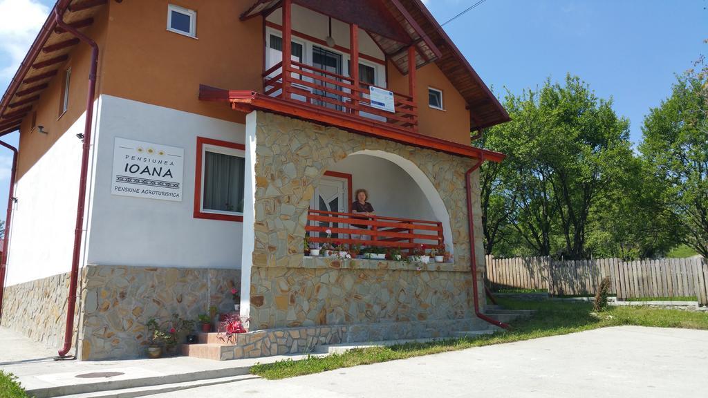 Pensiunea Agroturistica Ioana Bradulet Exterior photo