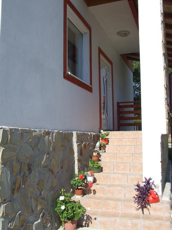 Pensiunea Agroturistica Ioana Bradulet Exterior photo