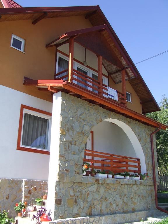Pensiunea Agroturistica Ioana Bradulet Exterior photo