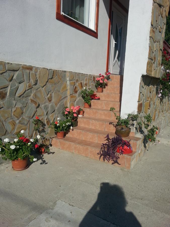 Pensiunea Agroturistica Ioana Bradulet Exterior photo