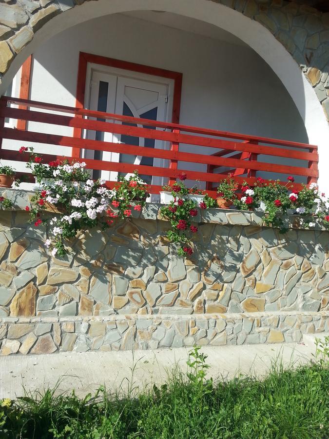 Pensiunea Agroturistica Ioana Bradulet Exterior photo