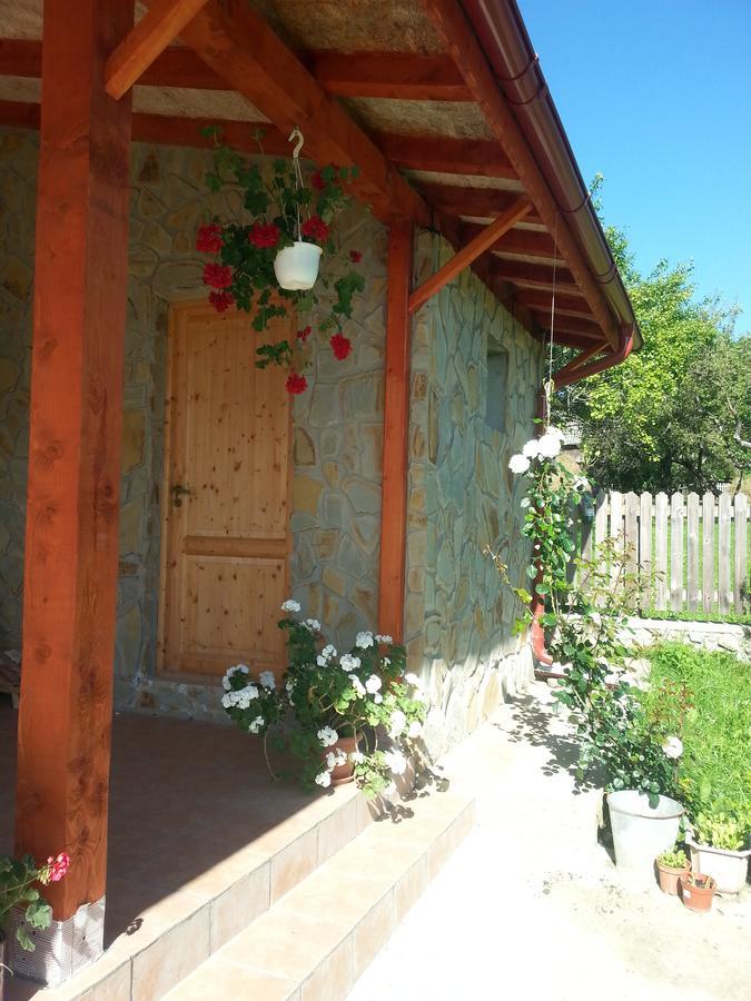 Pensiunea Agroturistica Ioana Bradulet Exterior photo