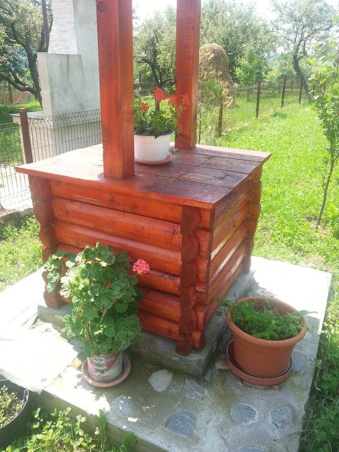 Pensiunea Agroturistica Ioana Bradulet Exterior photo